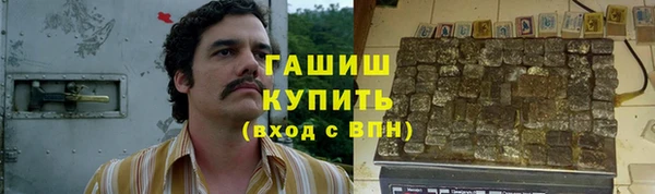 стаф Алзамай