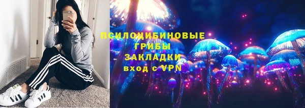 прущий лед Данков